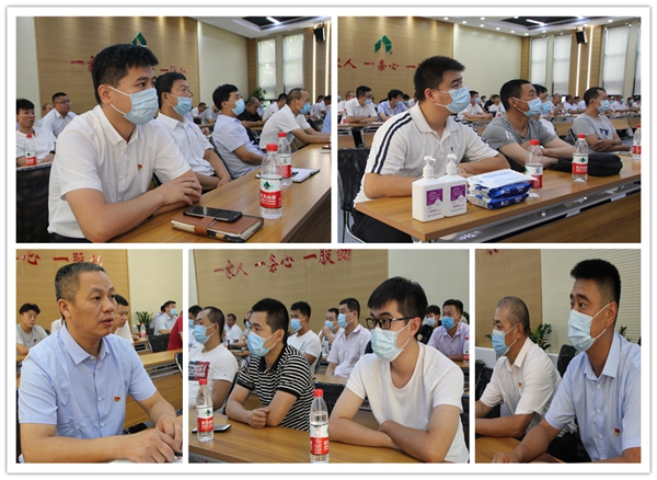 1597118539697423.jpg 7.jpg